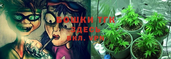 МДПВ Верхний Тагил